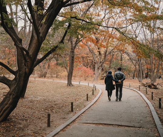 Rainwater Harvesting
